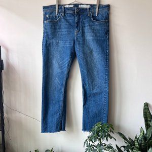 Gently Worn Pilcro and the Letterpress by Anthropologie Slim Straight Jeans